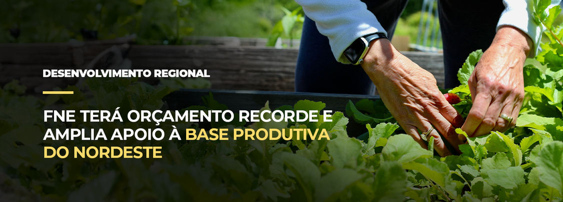 FNE terá orçamento recorde e amplia apoio à base produtiva do Nordeste