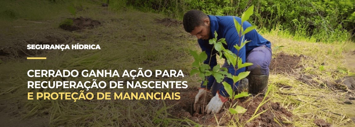 MIDR promove o início do plantio de 22 mil mudas nativas na Serrinha do Paranoá (DF)