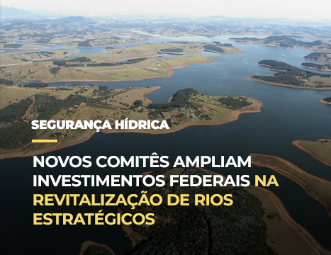 Criação de comitês gestores