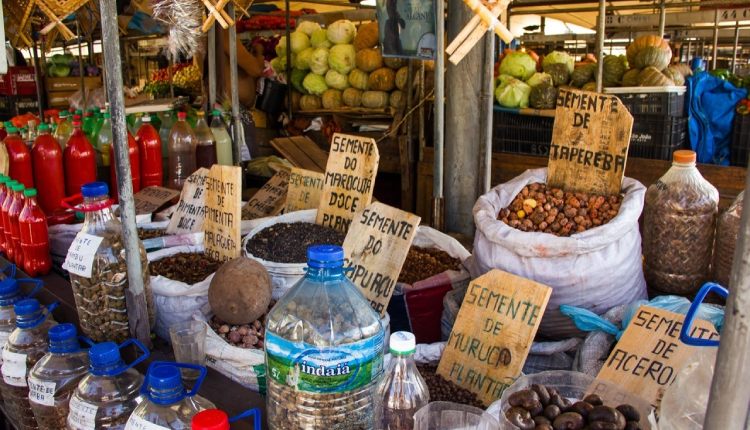 12 06 Linhas de crédito emergencial