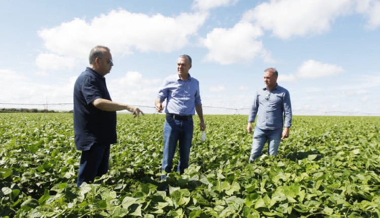 19 05 Ministro agricultura irrigada