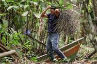 Acelera Amapá é lançado com foco em qualificação, inovação e geração de oportunidades no estado
