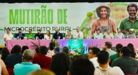 Agricultores de Altamira (PA) fortalecem produção com acesso facilitado ao crédito