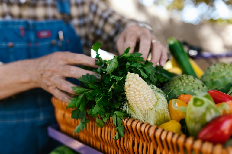 pexels-agricultura4.jpg