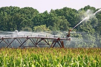 Amapá se prepara para expansão agrícola com novo polo de irrigação