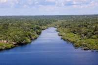 Amazônia Legal ganha comitê estratégico coordenado pela Sudam para acelerar investimentos