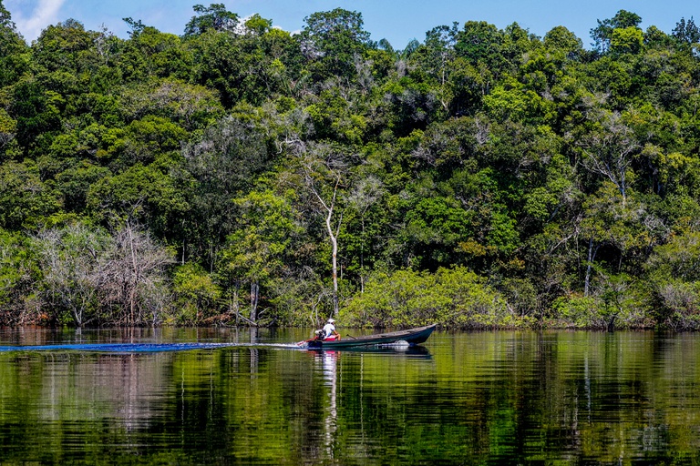 Amazonia 1 Fabio Rodrigues Pozzebom Agencia Brasil.jpg