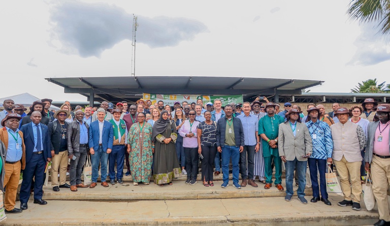 Petrolina Brasil Africa.jpeg