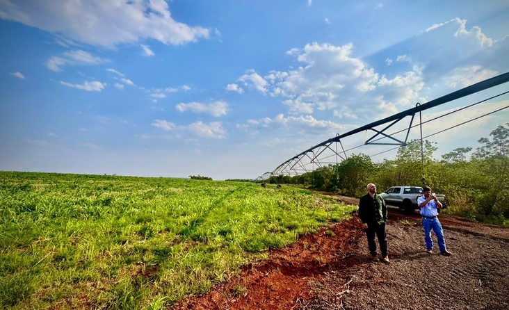 AgriculturaIrrigada.jpeg