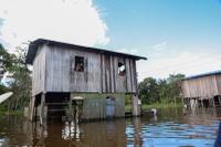 Cheias no Amazonas: Governo Federal reforça apoio a mais de 530 mil pessoas afetadas
