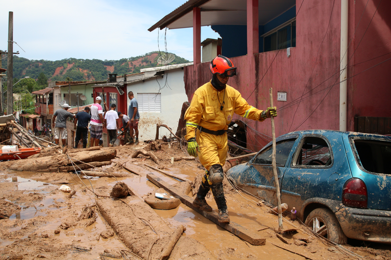 img_2716_PNPDC (1).png