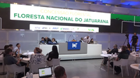 Concessão da Flona do Jatuarana atrai investimentos privados para manejo sustentável