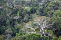 Conexão Amazônia: projeto que conecta municípios inicia etapa Amapá