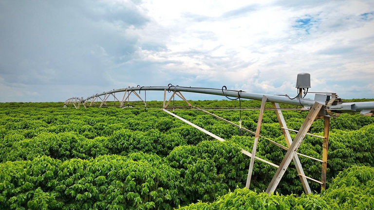 Irrigacao Yasmin Fonseca5.jpeg