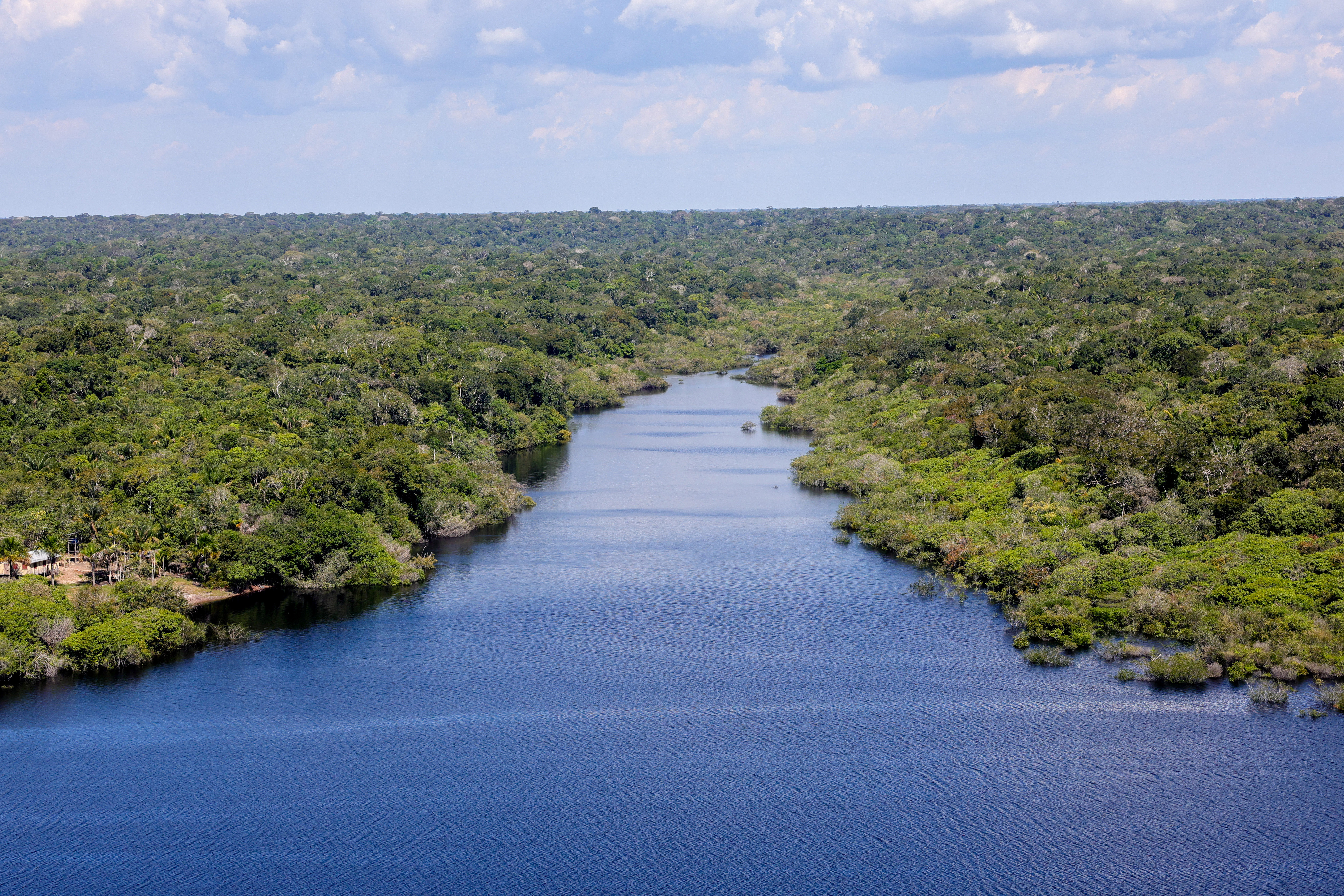 Amazonia 2 Fabio Rodrigues Pozzebom Agencia Brasil.jpg