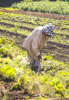 agricultora.png