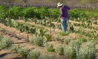 Dia de Luta pela Reforma Agrária: MIDR reforça compromisso com a dignidade no campo por meio do acesso à água