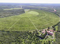 Dia do Agricultor: Polos de Irrigação impulsionam agricultura e economia em 18 regiões do país