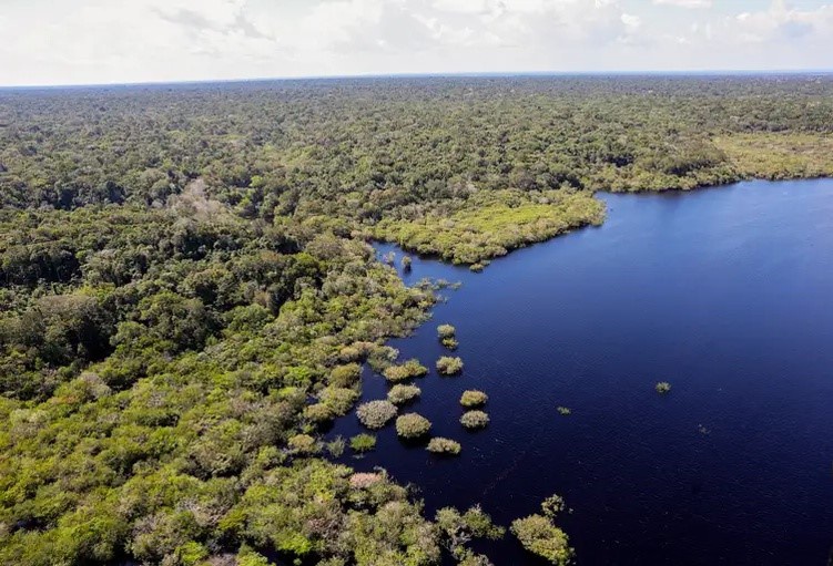 Amazonia Xingu Fabio Rodrigues Pozzebom Agência Brasil.jpeg