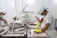 Estado do Amapá vai contar com polos das Rotas do Açaí e do Pescado