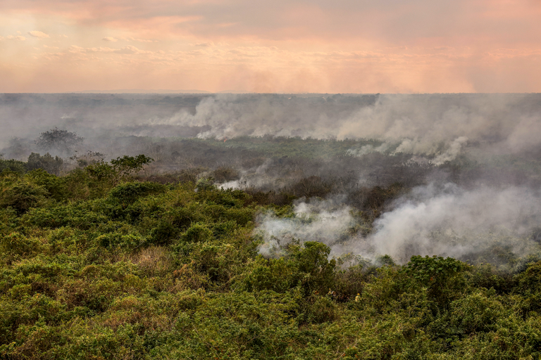 pantanal-prevfogo_mcamgo_abr_28062024-7(1).png
