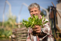 Governo dispõe R$ 1 bi e lança AgroAmigo no Norte e Centro-Oeste