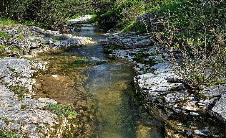 stream-3645734_1280.jpg