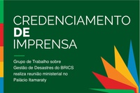 Grupo de Trabalho sobre Gestão de Desastres do BRICS