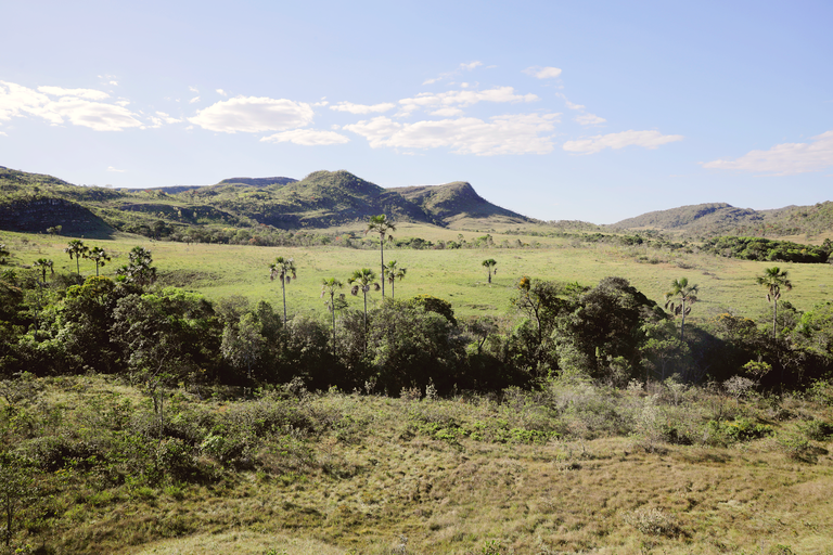 Cerrado Ag Brasil.png