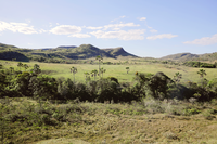 Intensificação da seca no bioma é monitorada pela Defesa Civil Nacional