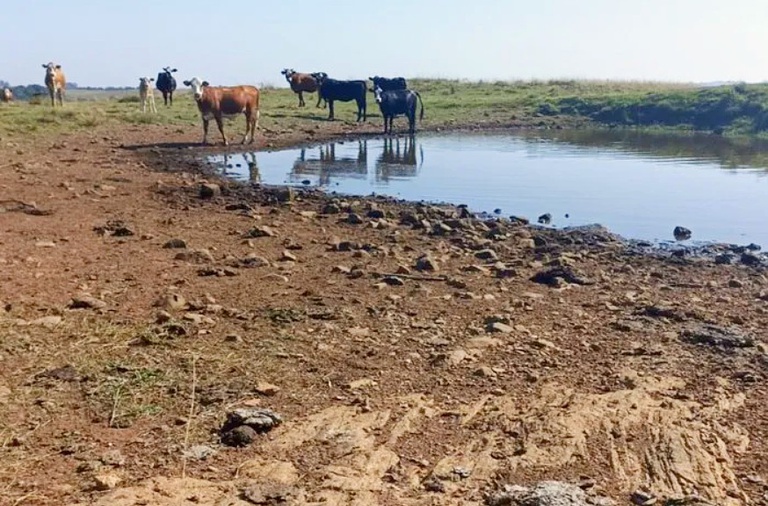 Estiagem RS Foto Pref Santiago2.jpg