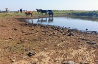 Irrigação é estratégia para reduzir impactos da estiagem no Rio Grande do Sul