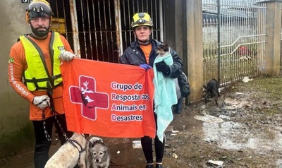 Equipe do Grad comemora as doações de R$ 2 milhões para o resgate de animais: trabalho que emociona