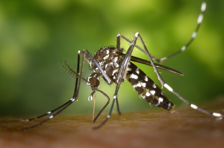 Mais R$ 974,1 mil para ajudar Dourados a enfrentar casos de chikungunya