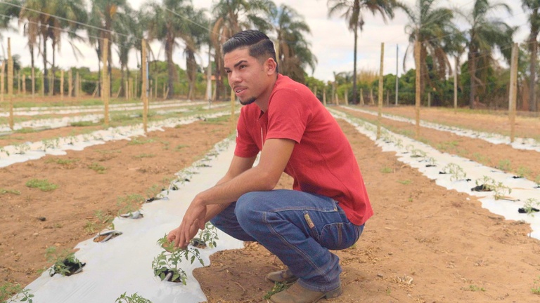 AgroAmigo_DF.jpeg