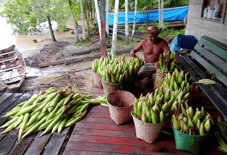 Foto1_MicrocreditoAP (1).png