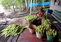 Microcrédito se consolida na região Norte apoiando pescadores e ribeirinhos