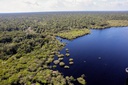 pzzb8315_0.jpeg amazonia 1.webp