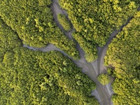 MIDR reforça compromisso com a redução de riscos de desastres