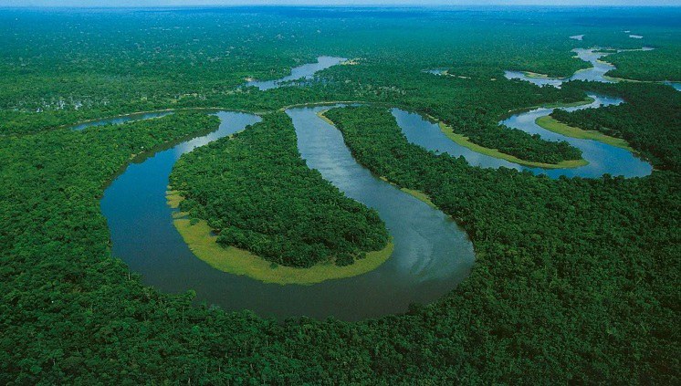 Amazonia mcti inpa.jpeg