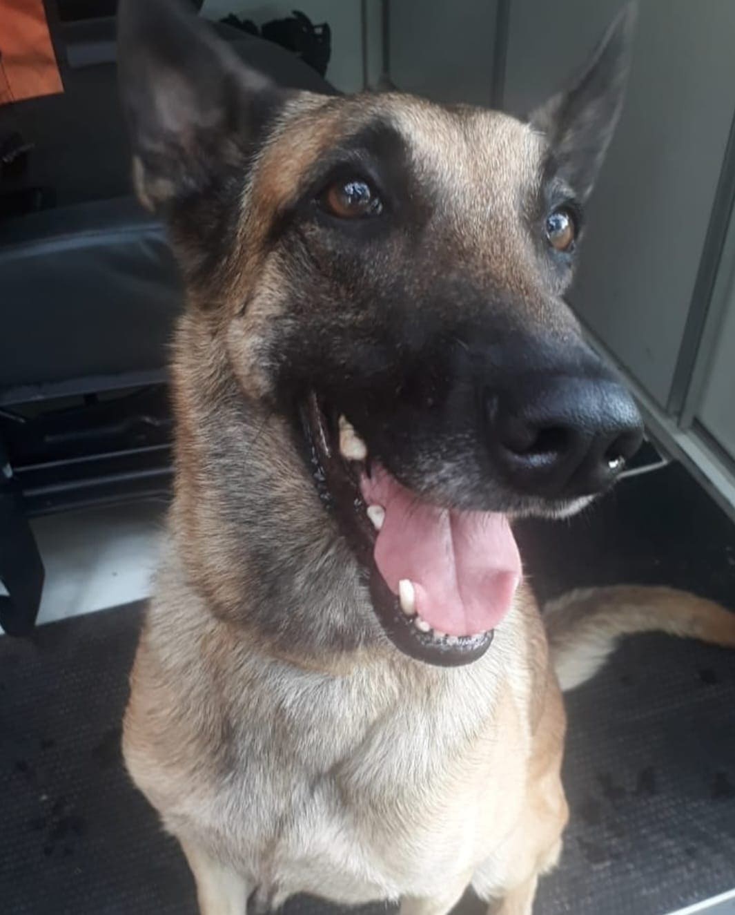 Hope conquistou pessoas do Brasil inteiro e também fez sucesso internacional (Foto: arquivo pessoal)