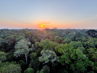 Mitigar ou adaptar: o que protege o Brasil das mudanças climáticas?