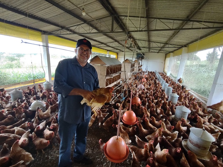 aviário-aves-divulgação.jpeg frango.webp