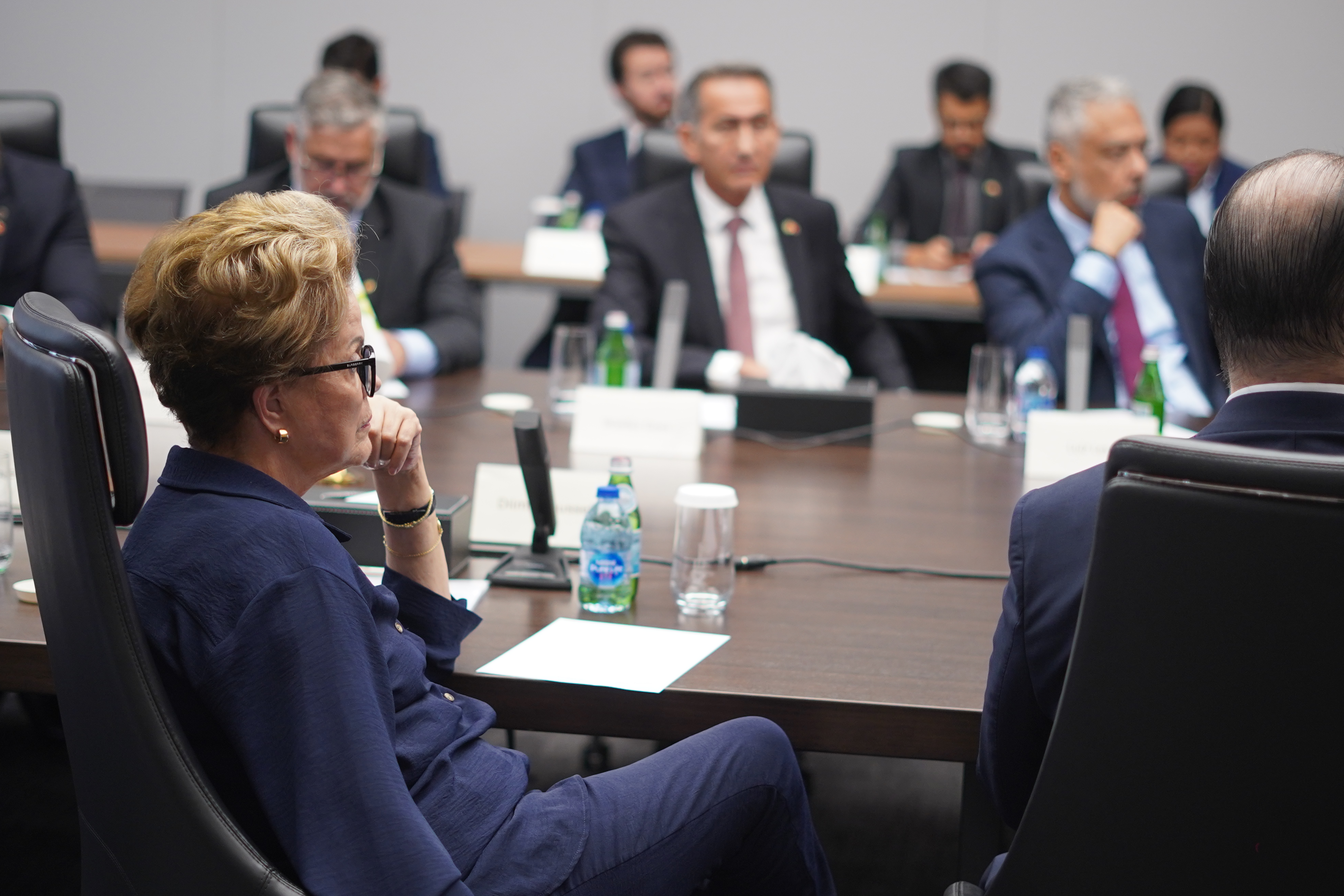 1408 China Brics 3.JPG