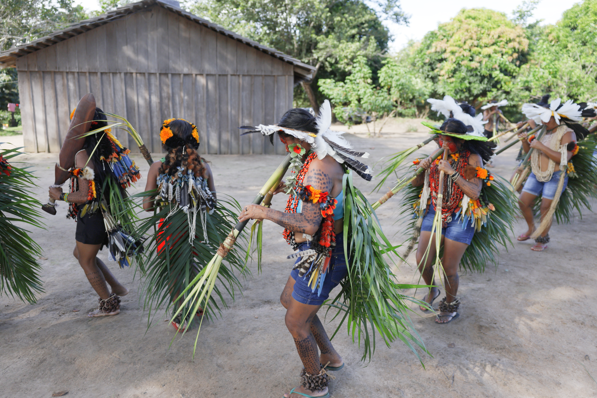 Indigenas Ag brasil.png