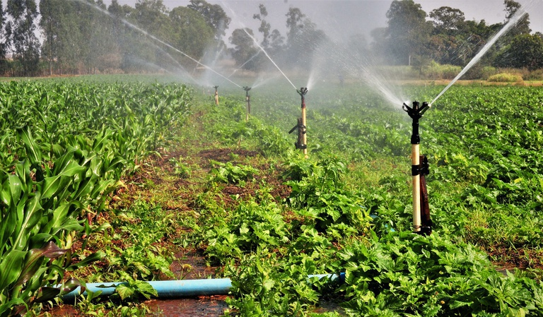 irrigação