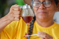 Produção de mel impulsiona desenvolvimento regional e agricultura familiar