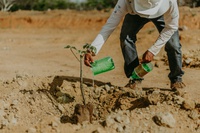 Projeto apoiado pelo MDR vence prêmio com trabalho de recuperação de áreas degradadas da caatinga