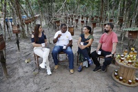 Rota do Mel fortalece a meliponicultura no Amapá e impulsiona desenvolvimento regional