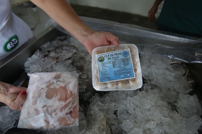 Quanto mais organizadas estiverem as atividades produtivas,mais benefícios